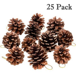 Natural Pine Cone Ornaments 
