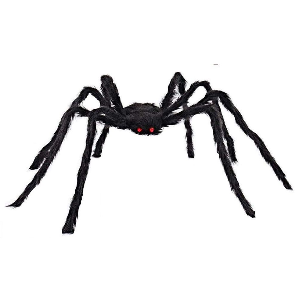 Giant 6-Foot Hairy Spider