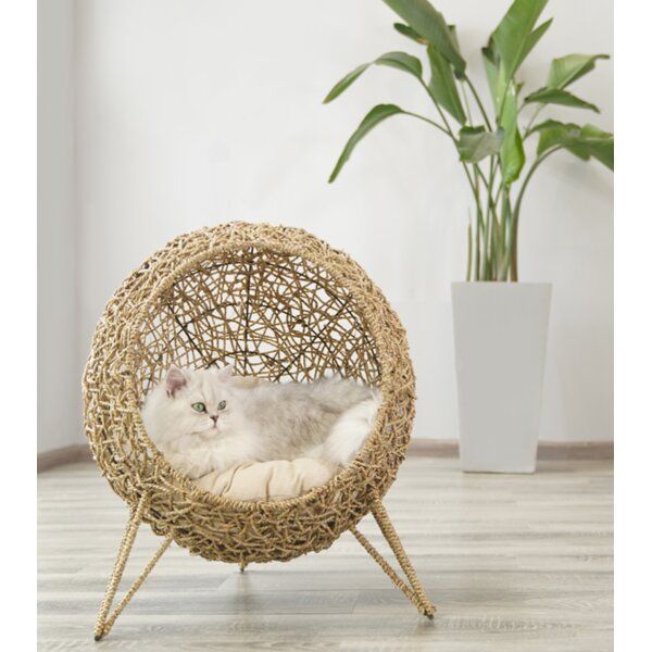 cat egg chair home goods