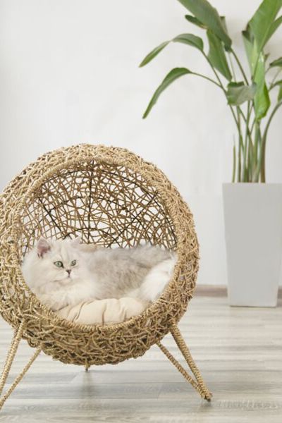 17 Best Cat Gifts and Home Decor Gift Ideas for Cat Lovers