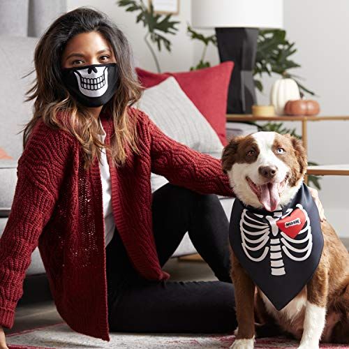 Halloween Face Mask and Dog Bandana