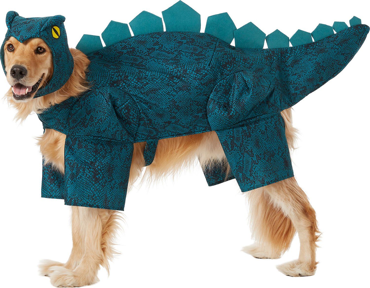 matching cat and dog costumes