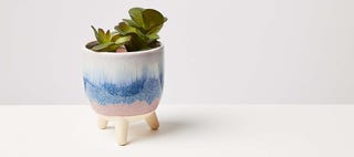 Suelo Pink & Blue Ceramic Plant Pot Small