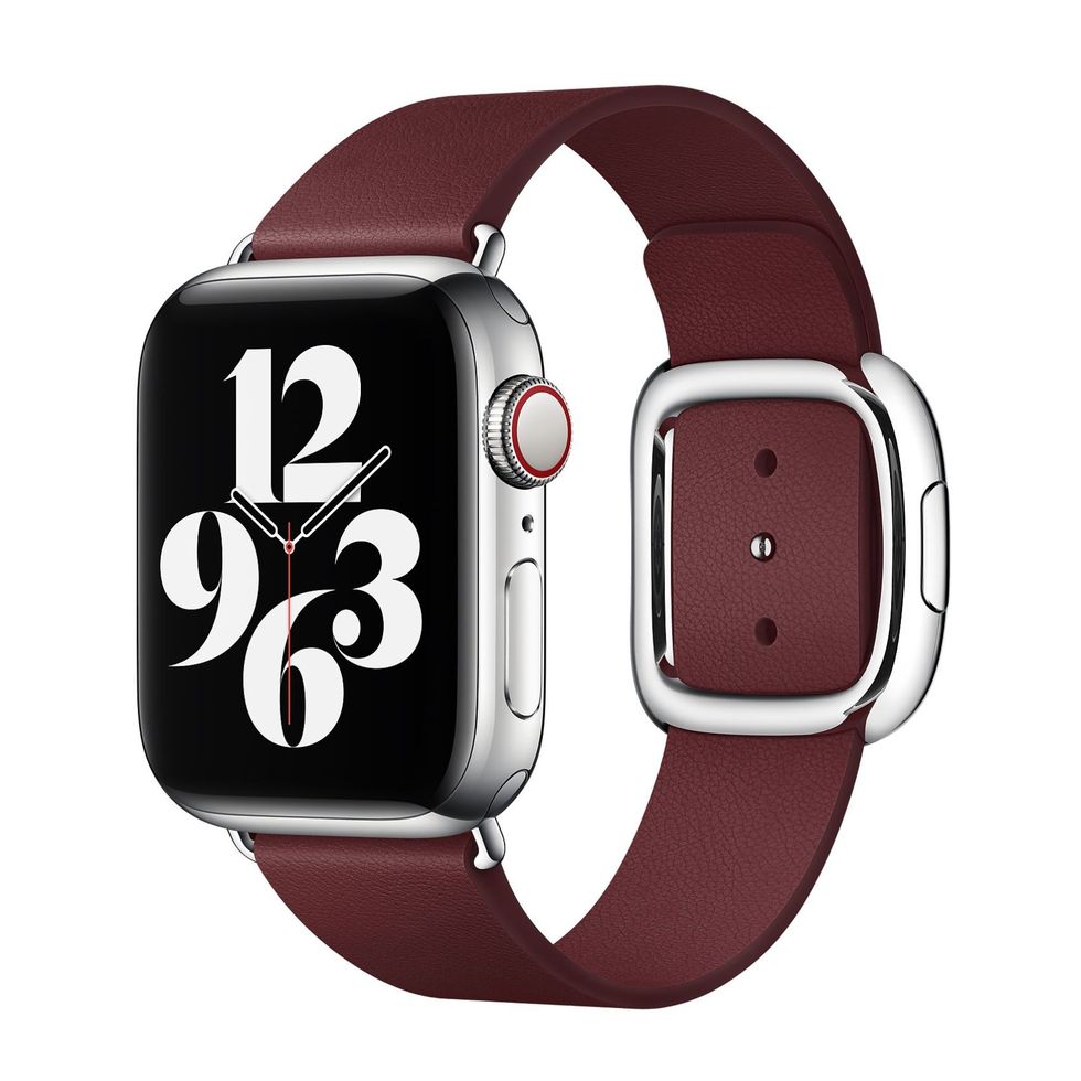 Apple Watch Modern Buckle Band