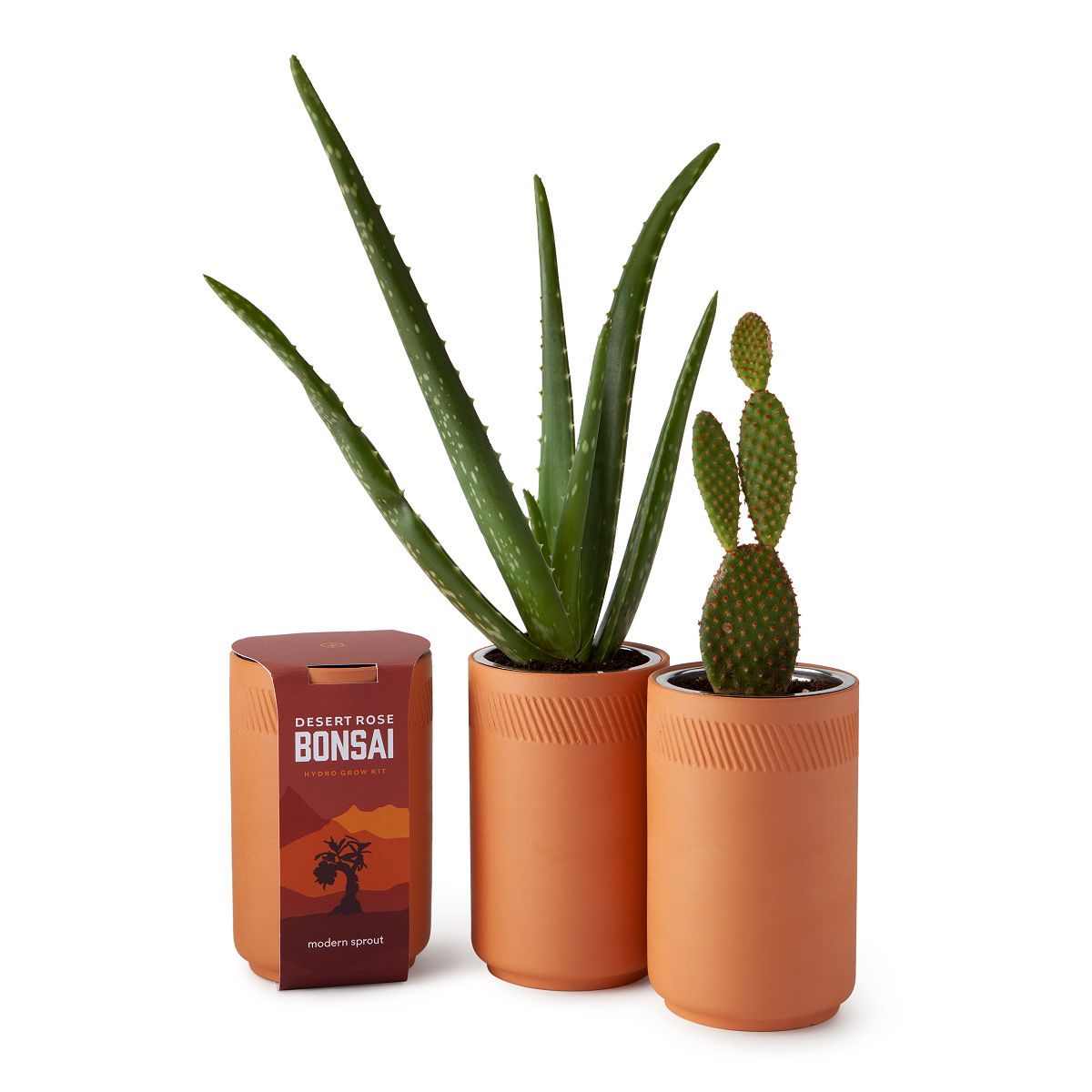 secret santa gift ideas for women