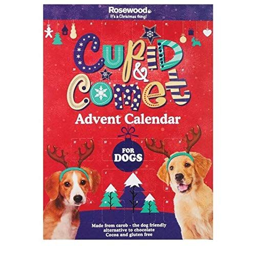 dog christmas calendar