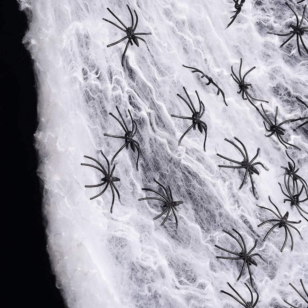 Fake Spider Web Decorations