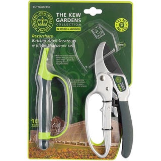 Ratchet Anvil Secateurs and Sharpener Set