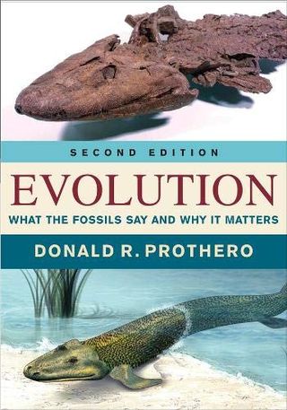Evolución: lo que dicen los fósiles y por qué es importante