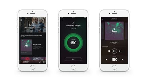 Spotify Premium Subscription