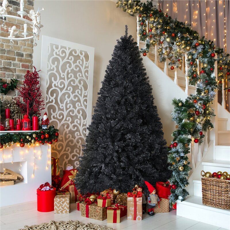 6' Black Spruce Christmas Tree.