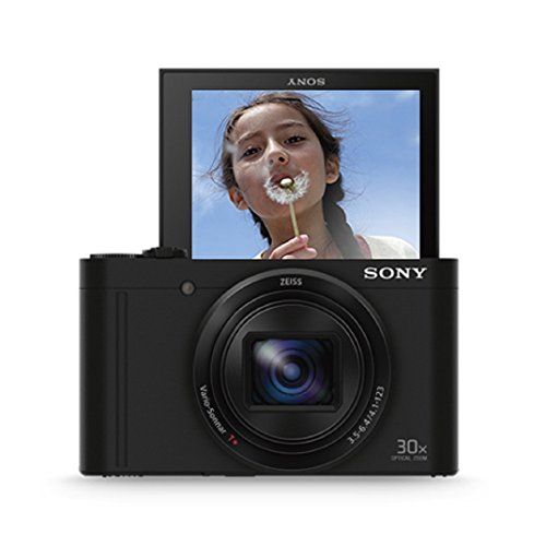 Sony DSC-WX500 Digital Compact High Zoom Travel Camera