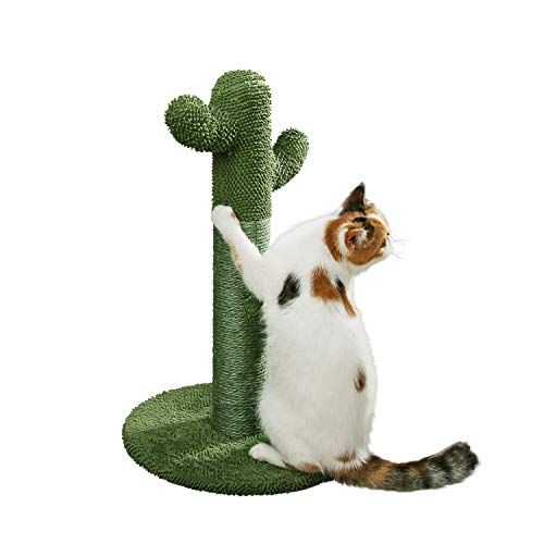 Cat Scratching Post with Teaser Ball