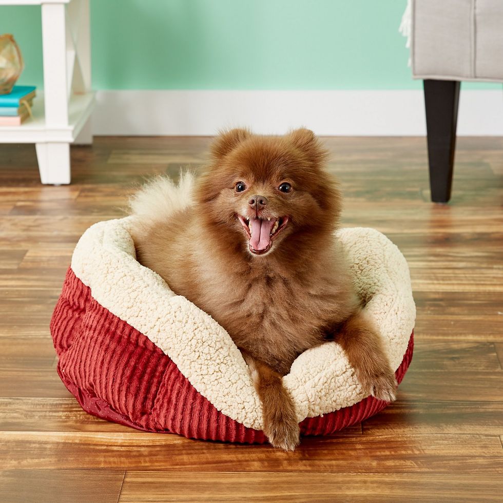 Best Self-Warming Dog Bed