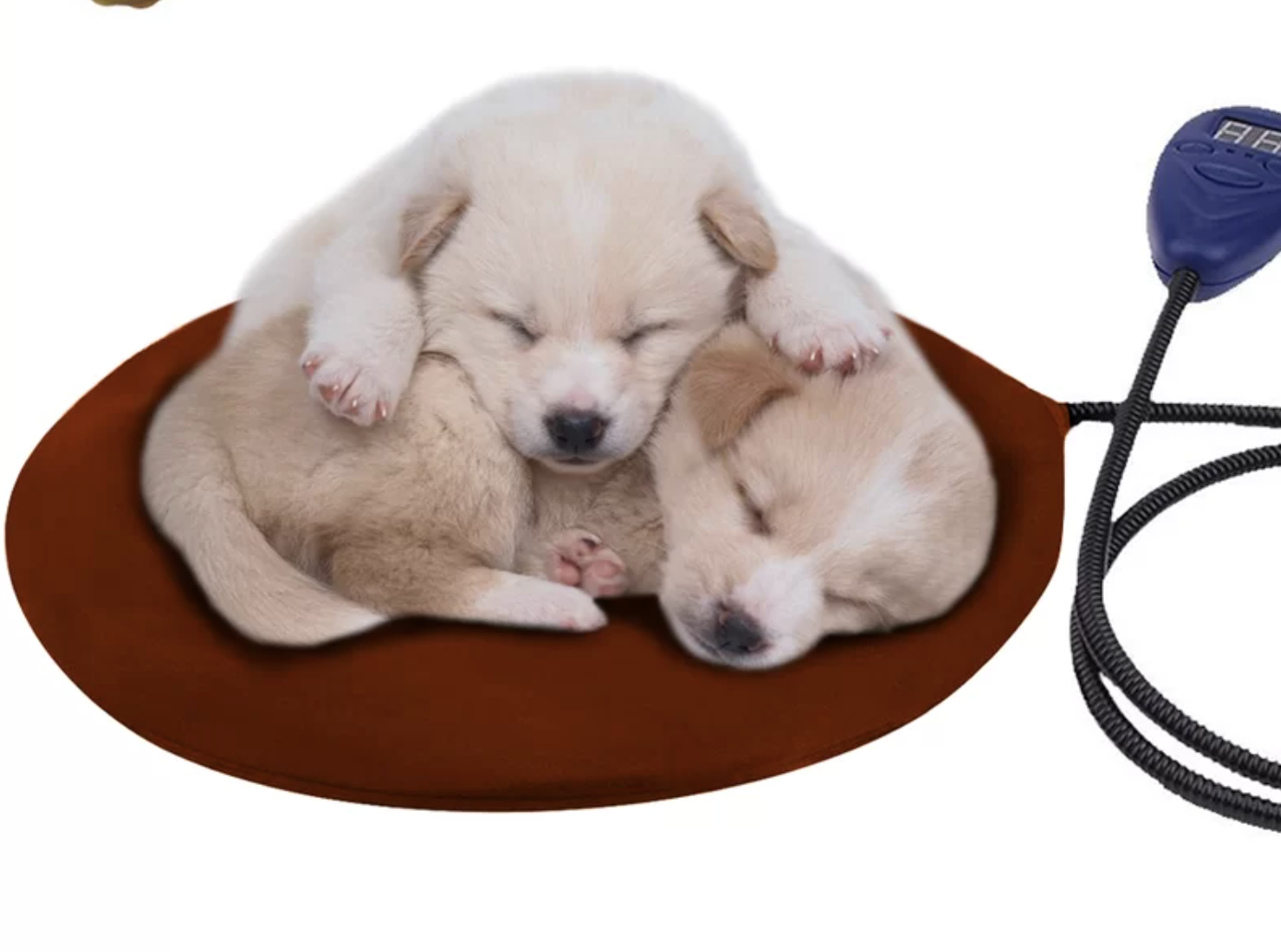 dog electric blanket