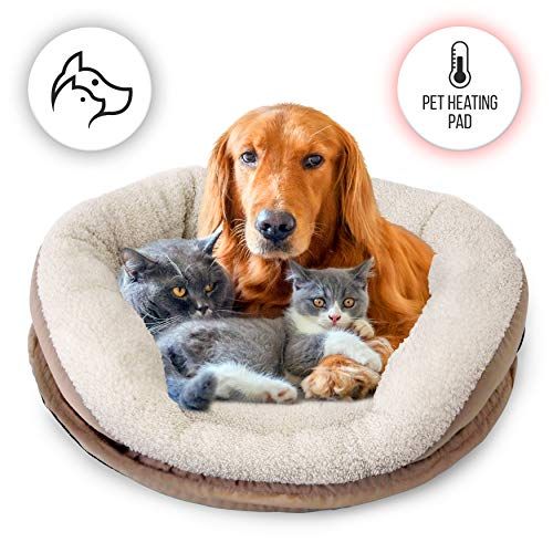Best Energy-Efficient Heated Dog Bed