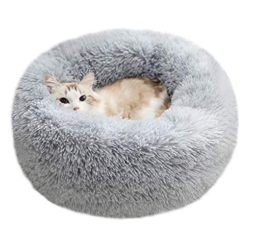 cute gifts for cats