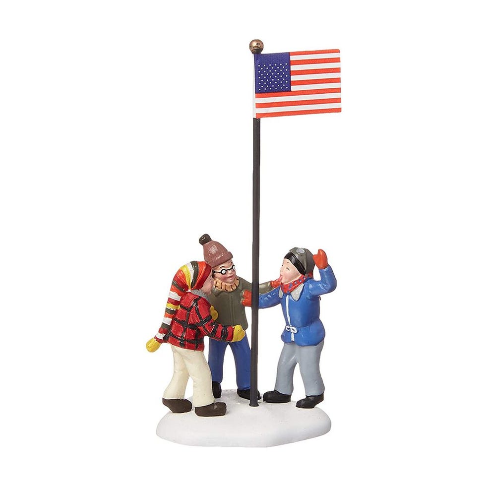 Freezing Flag Pole