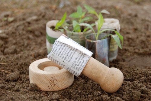 32 Unique Gifts for Gardeners Who Have Everything 2024