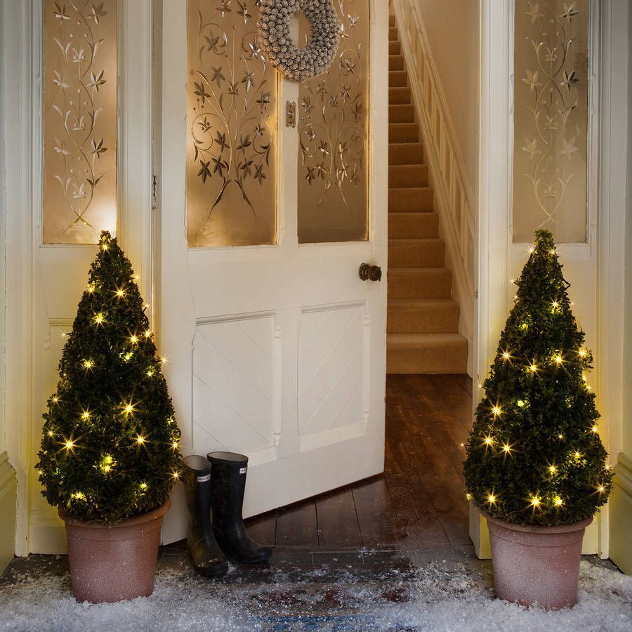 Home Holiday 50 LED Mini M5 Ultra Bright Multi Light Set Christmas Outdoor Decor 