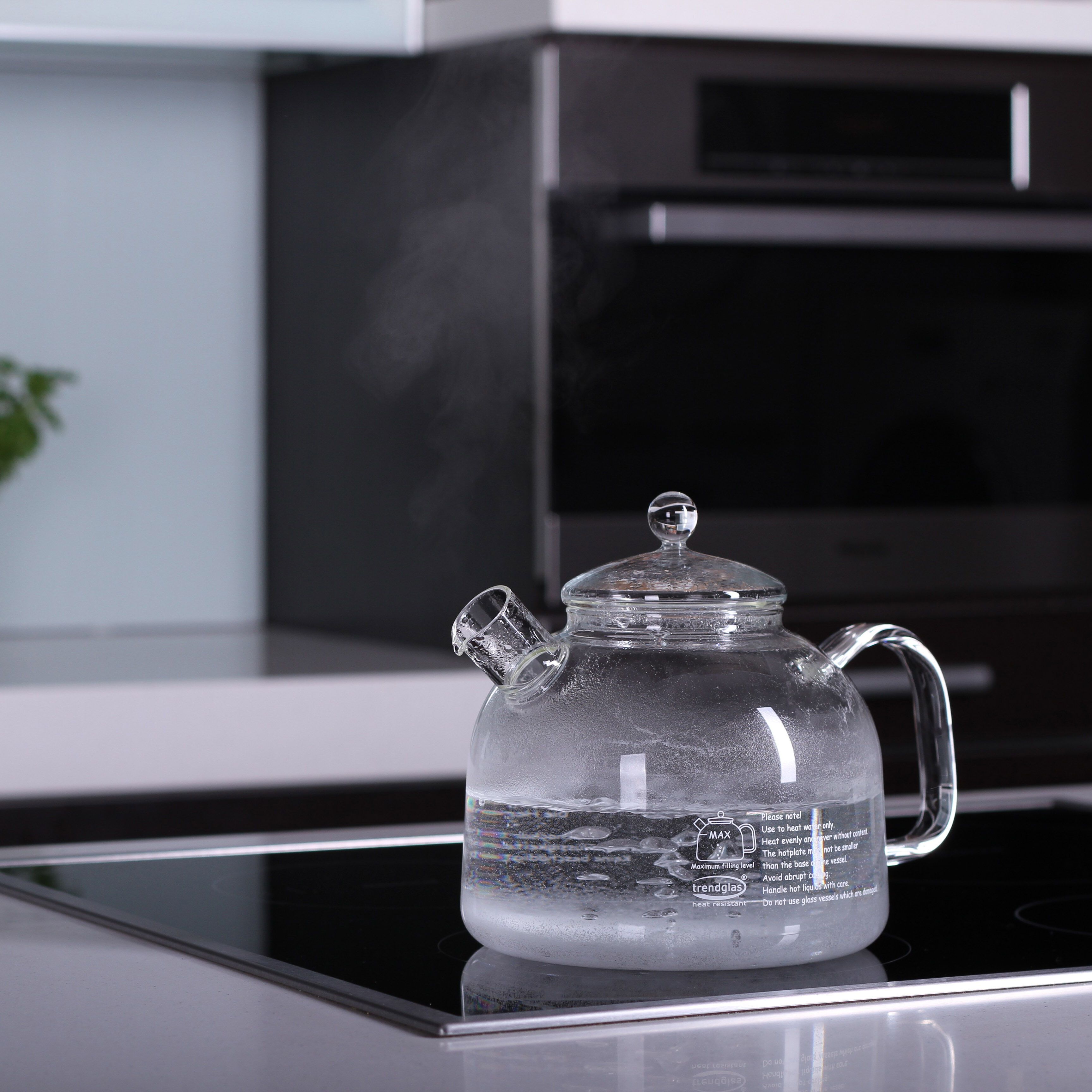 German glass best sale tea kettle