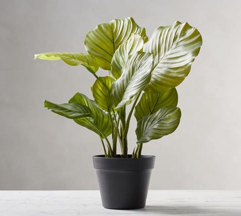 25 Best Fake Plants Of 2020 That Are As Lush As The Real Things