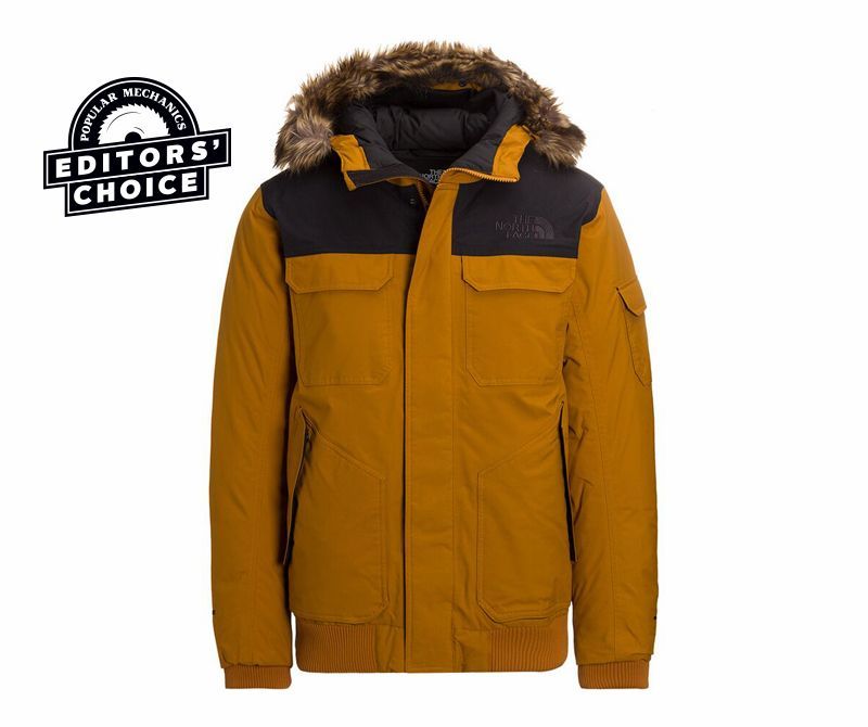 the north face best winter jacket