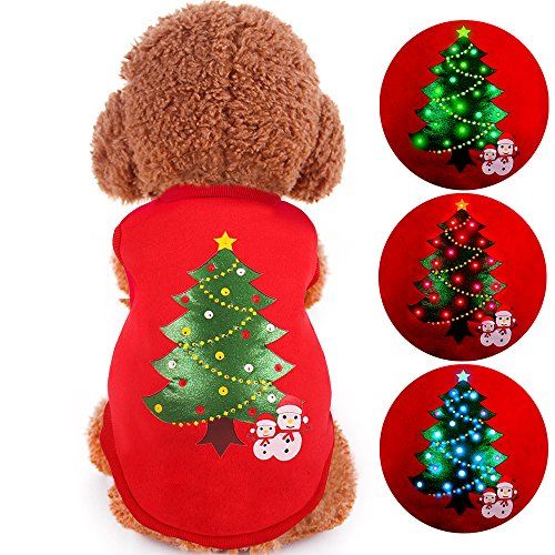 Light up dog deals sweater