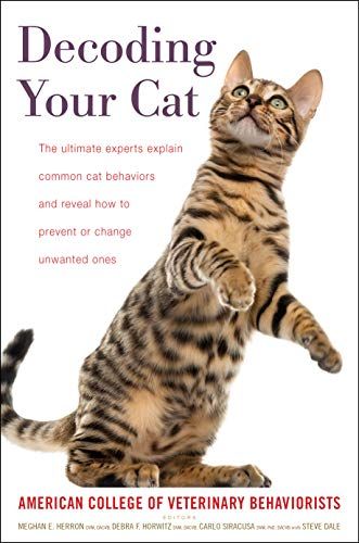 cat lady presents
