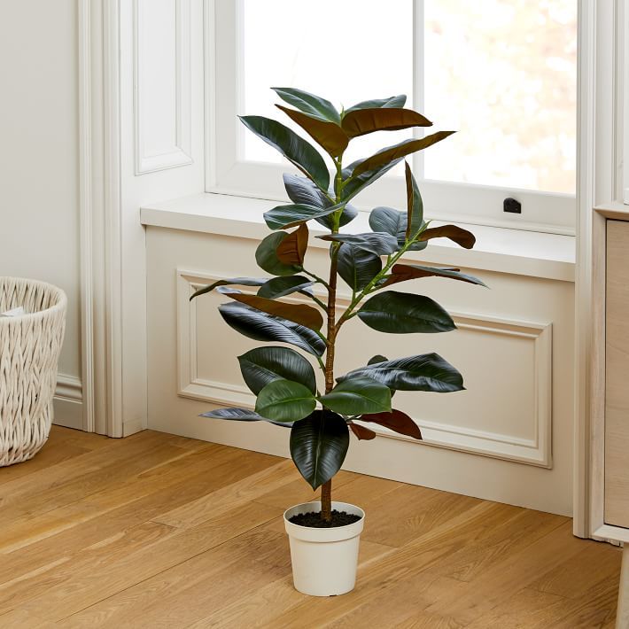 Faux Potted Rubber Tree