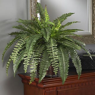 Artificial Boston Fern