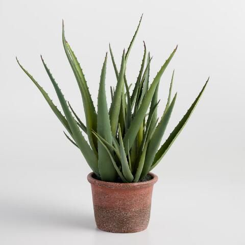 Artificial Potted Aloe