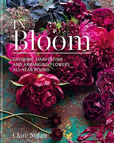 In Bloom: Growing, harvesting and arranging flowers all year round