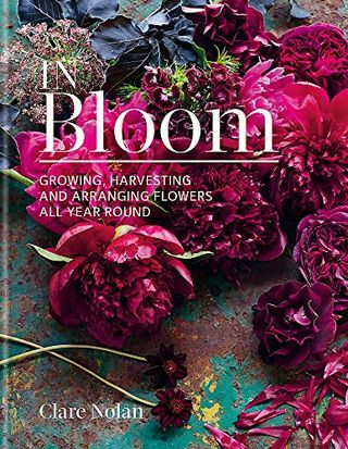 In voller Blüte: Das ganze Jahr über Blumen anbauen, ernten und arrangieren