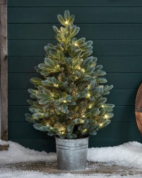 5 Ft Potted Christmas Tree - Christmas Images 2021
