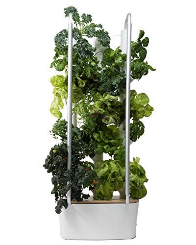 Best Indoor Hydroponic Garden Kit