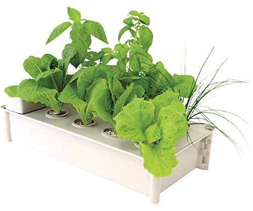 Hydrofarm GCSB Box Kit Hydroponic Salad Garden