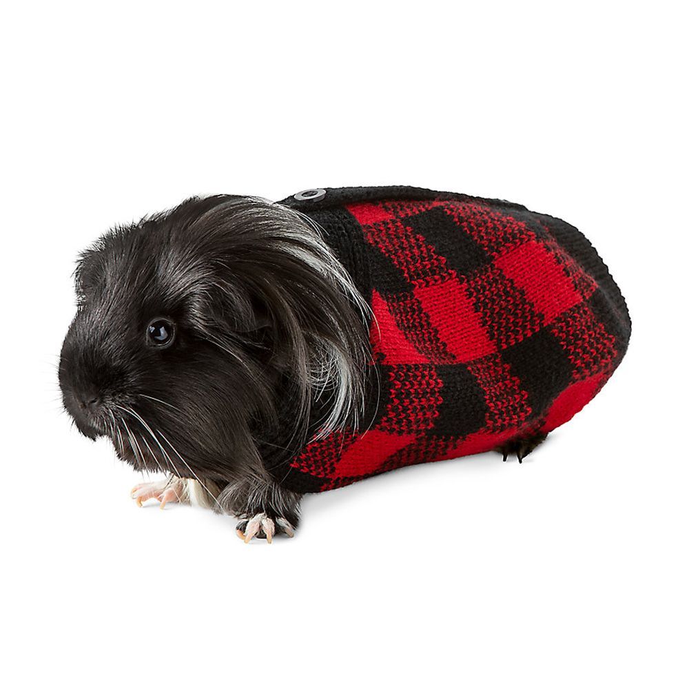 PetSmart's Christmas Costumes Will Make Guinea Pig Festive Creature
