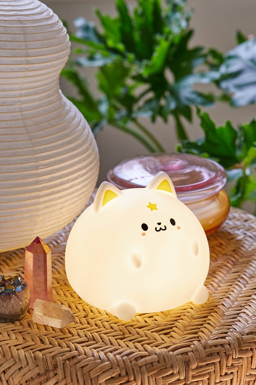 Shiro Cat Light