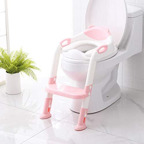 Potty Training Seat and Ladder