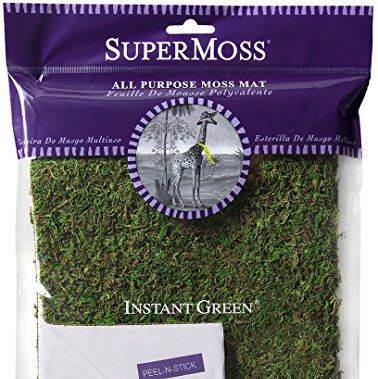 SuperMoss InstantGreen Moss Mat