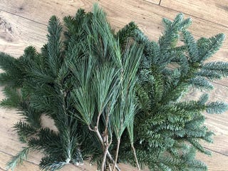 Christmas foliage bundle