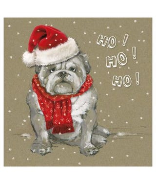 Ho Ho Ho Charity Christmas Cards, Cancer Research UK, £2.99