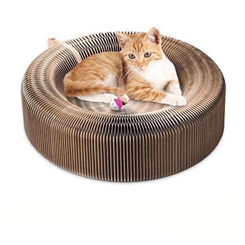 best cat toys