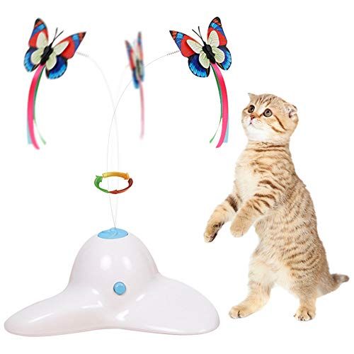 toys to keep cats busy