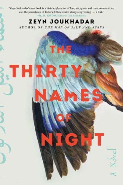 The Thirty Names of Night: A Novel