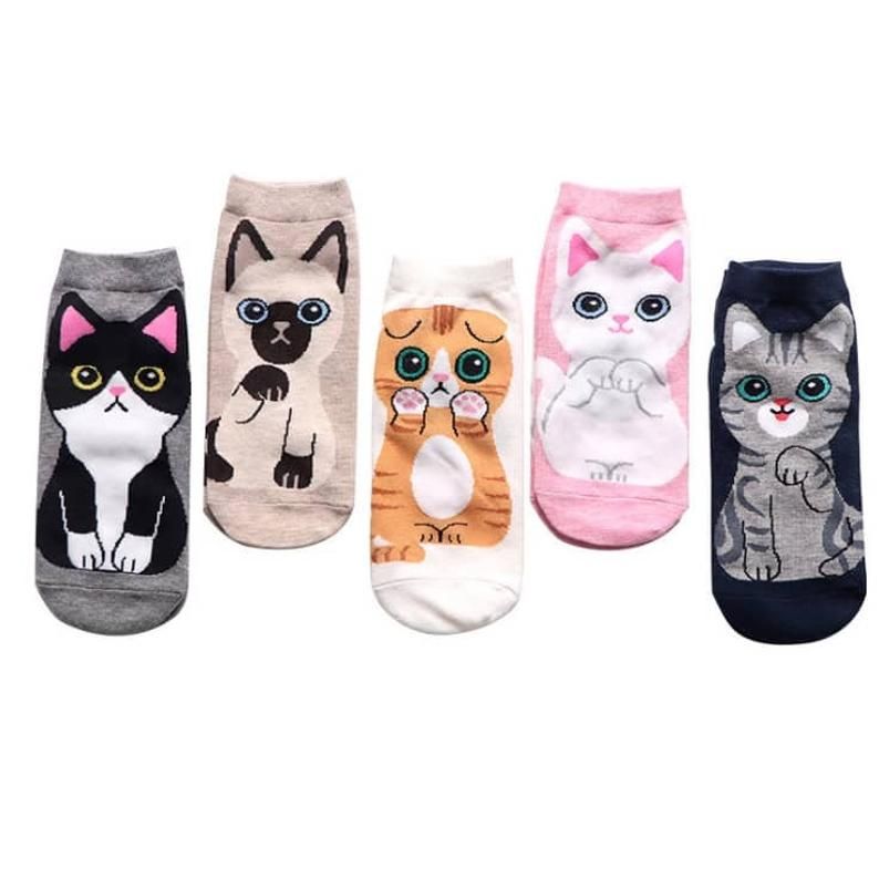 ladies kitty gift ideas