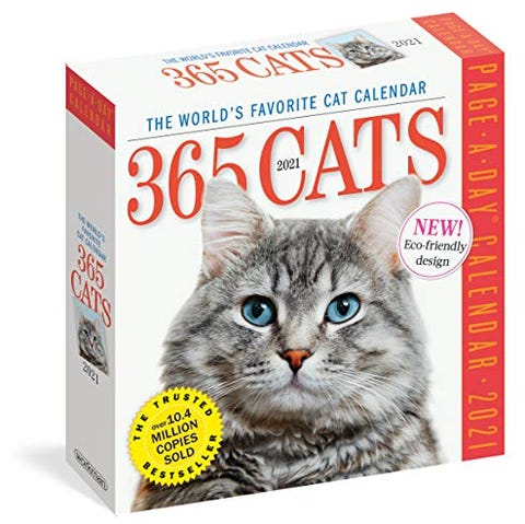 55 Best Gifts For Cat Lovers That Are Purr Fect For Holidays 55 Best Gifts For Cat Lovers That Are Purr Fect For Holidays