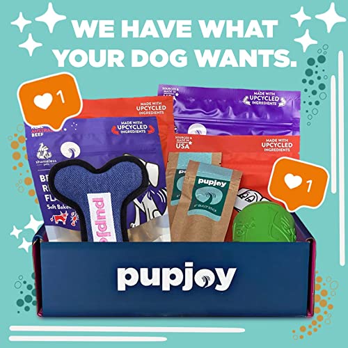 The Best Pet Subscription Boxes for 2024