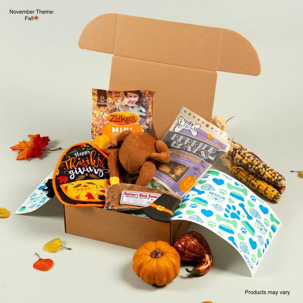 RescueBox 